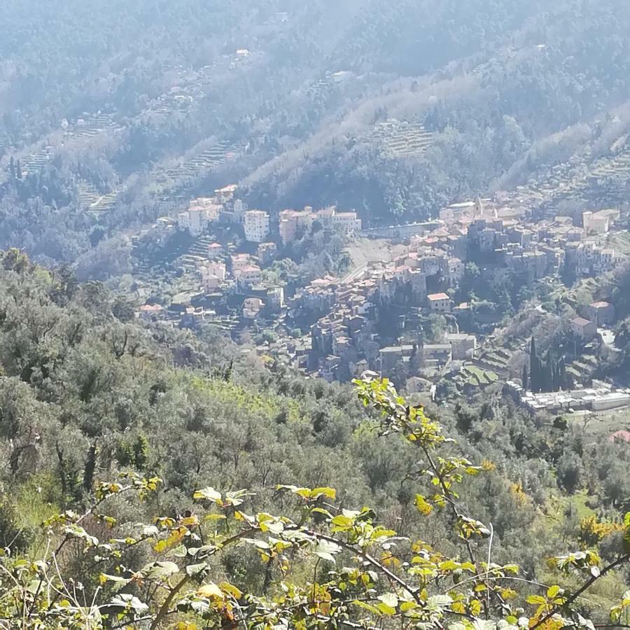 Casa Margherita Daire Ceriana Dış mekan fotoğraf